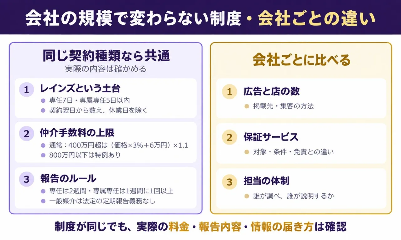 会社の大きさで変わらない3つ(買主様に届く土台・仲介手数料の上限・報告のルール)と、変わる3つ(広告と店の数・保証サービス・担当の体制)